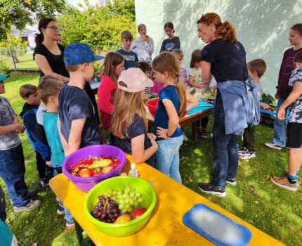 Köstliches aus der Natur – Die Früchte Küche