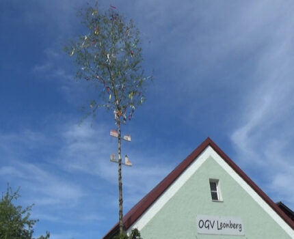Der Maibaum wird aufgestellt