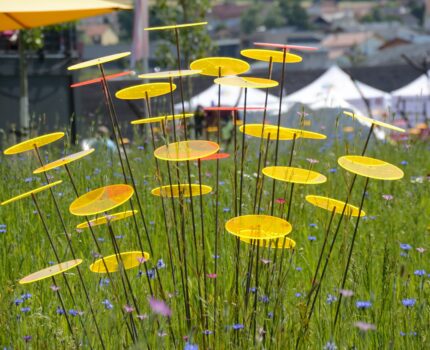 Landesgartenschau 2025 in Furth im Wald