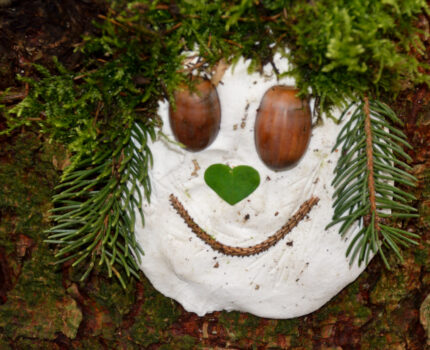 Unsere HolzwiesHupfer im Wald