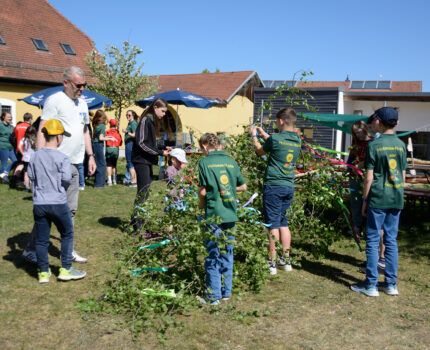 Jahresstart 2026 der Holzwieshupfer