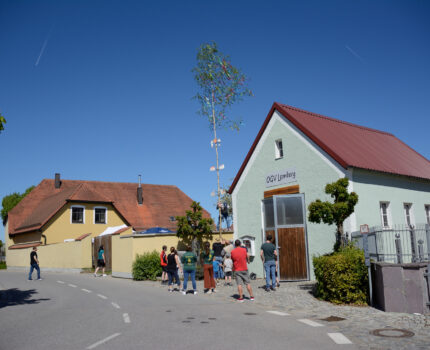 Zum Jahresstart: der Maibaum wird aufgestellt mit anschließender Pflanzenbörse