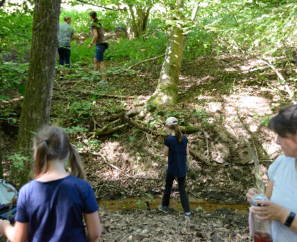 Unsere Holzwieshupfer sind wieder unterwegs