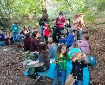 Neues von unseren Holzwieshupfern